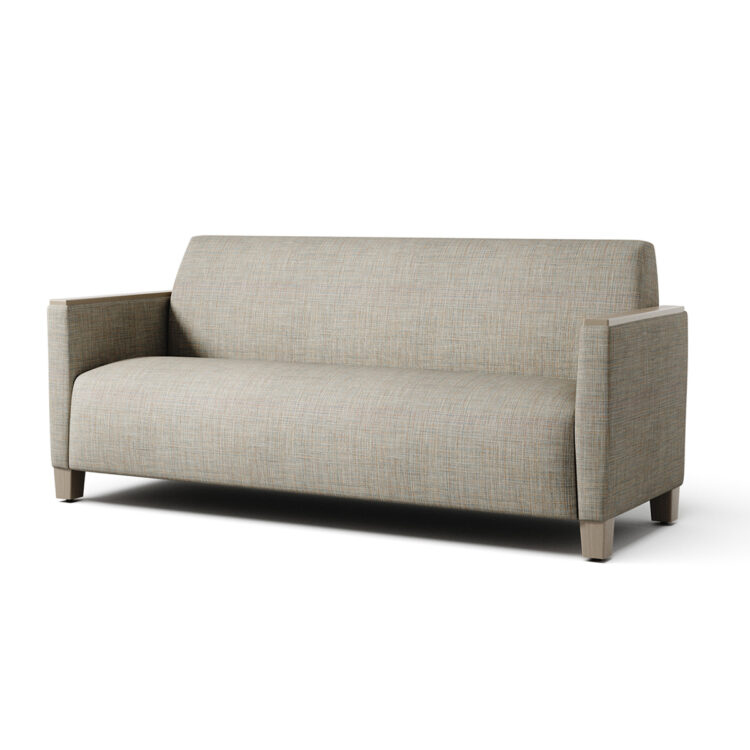Carrara Behavioral Sofa