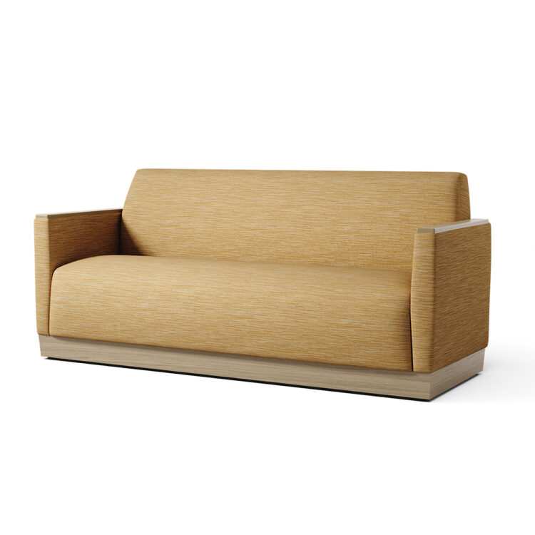 Carrara Behavioral Sofa